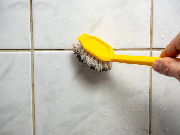 Professional Mold Removal in Hamlin, WV
