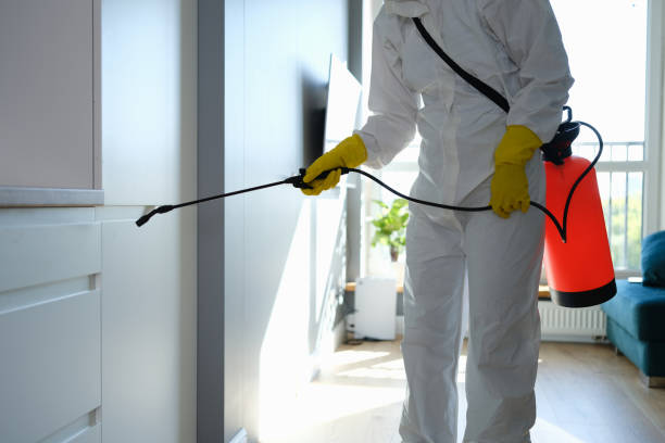 Best Mold Remediation Services  in Hamlin, WV