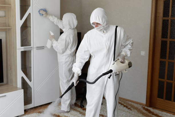 Trusted Hamlin, WV Mold Removal Experts
