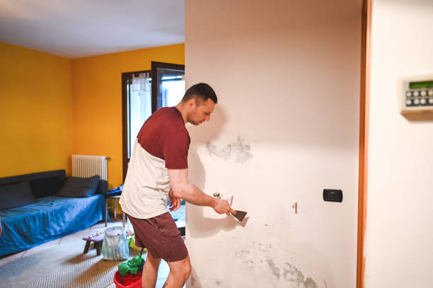 Best Mold Removal Company Near Me  in Hamlin, WV